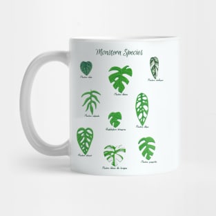Monstera Species with Labels Mug